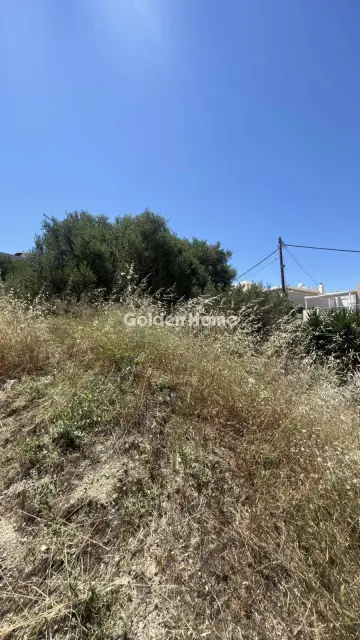 Οικιστικό 900τ.μ. προς πώληση φωτογραφία 8
