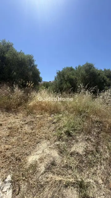 Οικιστικό 900τ.μ. προς πώληση φωτογραφία 10