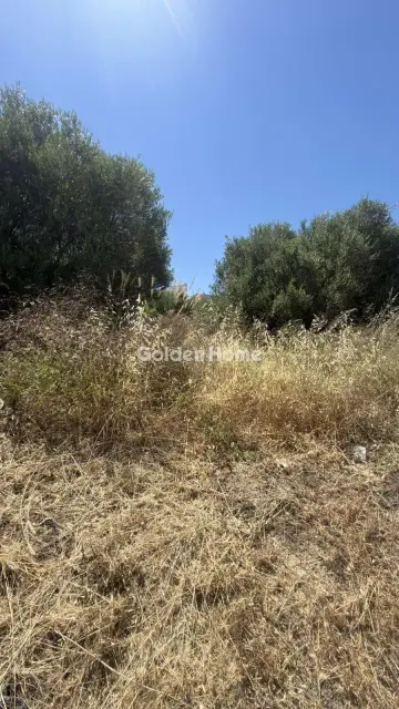 Οικιστικό 900τ.μ. προς πώληση φωτογραφία 12