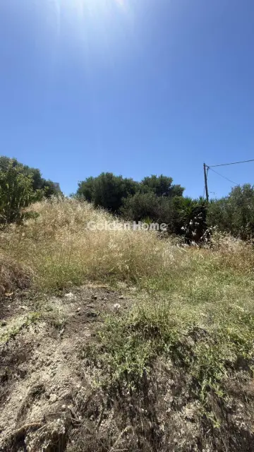 Οικιστικό 900τ.μ. προς πώληση φωτογραφία 13