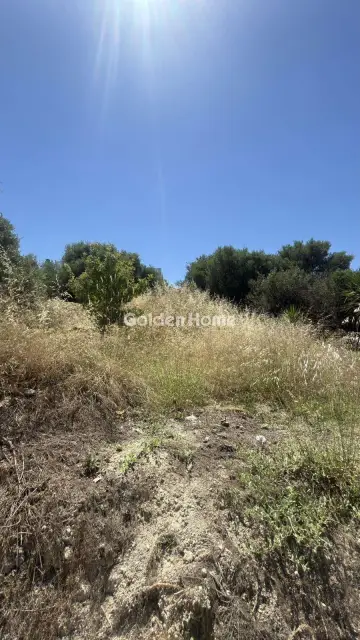 Οικιστικό 900τ.μ. προς πώληση φωτογραφία 14