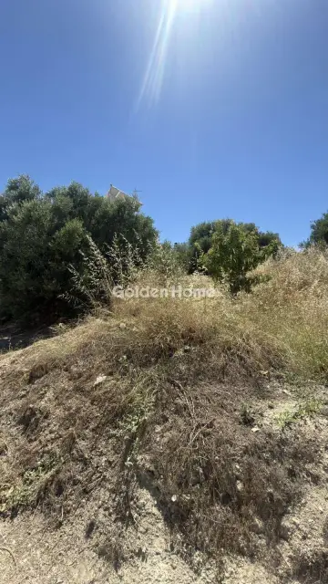 Οικιστικό 900τ.μ. προς πώληση φωτογραφία 15