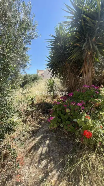 Οικιστικό 900τ.μ. προς πώληση φωτογραφία 2