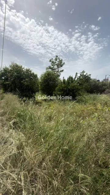住宅 740m<sup>2</sup> for sale photo 2