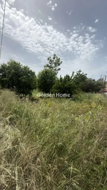 住宅 740m<sup>2</sup> for sale photo 3