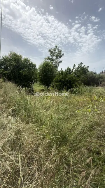 住宅 740m<sup>2</sup> for sale photo 4