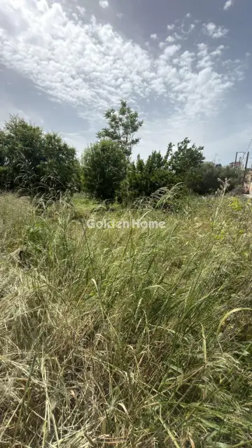 住宅 740m<sup>2</sup> for sale photo 6