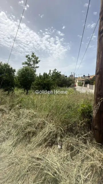 住宅 740m<sup>2</sup> for sale photo 9