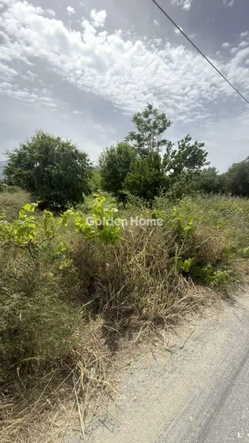 住宅 740m<sup>2</sup> for sale photo 10