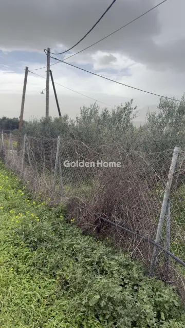 Residential 500m<sup>2</sup> for sale photo 5