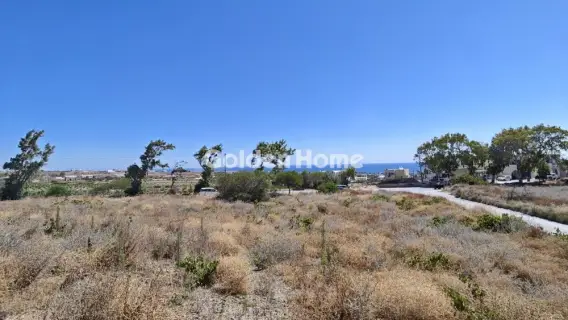 Residential 8000m<sup>2</sup> for sale photo 2