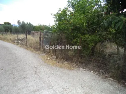 Residential 385m<sup>2</sup> for sale photo 5481490