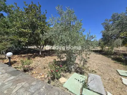 Apartment 119m<sup>2</sup> for rent photo 21