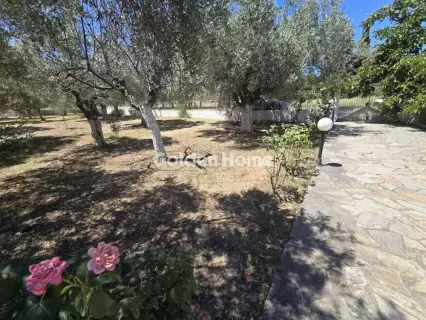 Apartment 119m<sup>2</sup> for rent photo 24