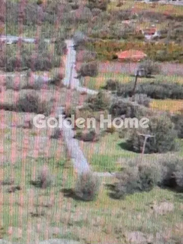 Area 425m<sup>2</sup> for sale photo 5496067