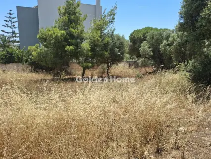 Residential 428m<sup>2</sup> for sale photo 3