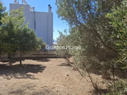 Residential 428m<sup>2</sup> for sale photo 5536426