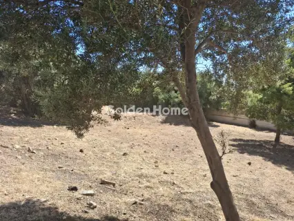 Residential 428m<sup>2</sup> for sale photo 3