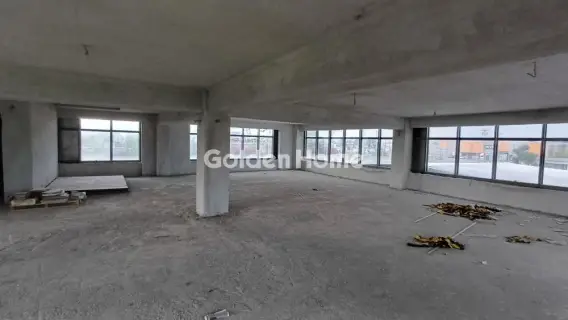 Βιομηχανικός - Βιοτεχνικός Χώρος 560τ.μ. προς πώληση φωτογραφία 5498779