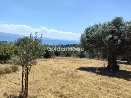 Μεζονέτα Ανεξάρτητη 141τ.μ. προς πώληση φωτογραφία 8