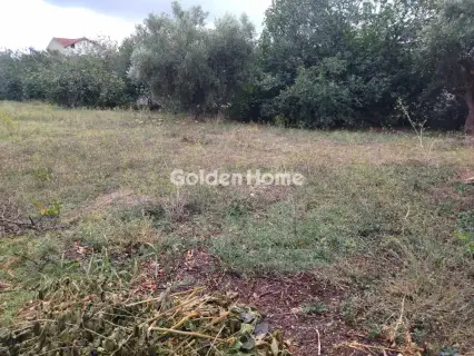Residential 250m<sup>2</sup> for sale photo 1