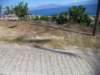 土地 3067m<sup>2</sup> for sale photo 4