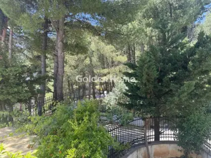 Apartment 140m<sup>2</sup> for rent photo 5497821