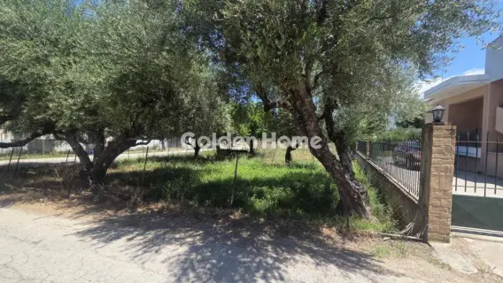 Residential 1990m<sup>2</sup> for sale photo 5491038