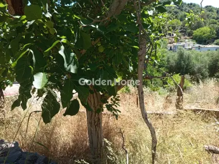 Μονοκατοικία 100τ.μ. προς πώληση φωτογραφία 16