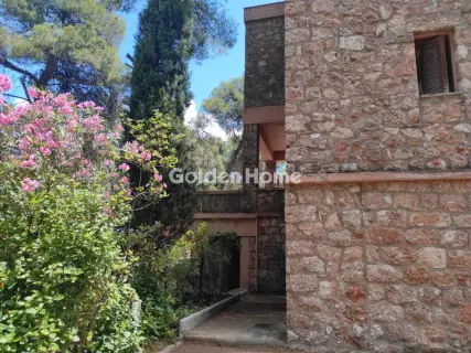 Μονοκατοικία 476τ.μ. προς πώληση φωτογραφία 47