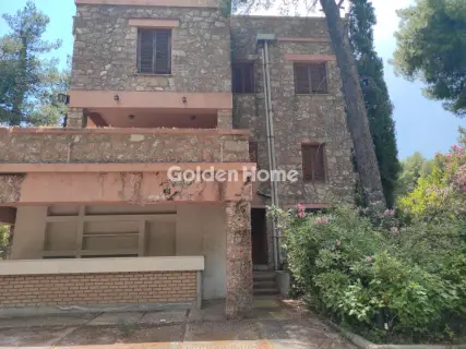 Μονοκατοικία 476τ.μ. προς πώληση φωτογραφία 54