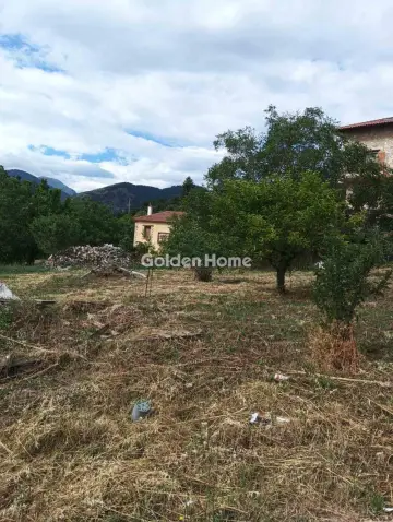 Residential 797m<sup>2</sup> for sale photo 3