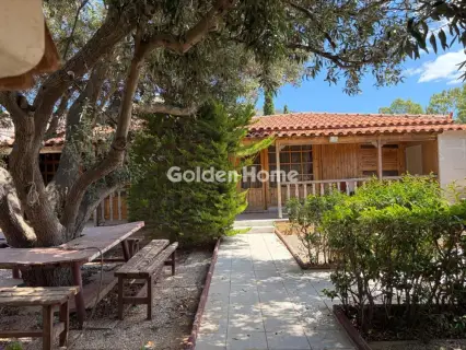 House 350m<sup>2</sup> for sale photo 50