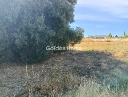Professional Plot 582m<sup>2</sup> for sale photo 5494560