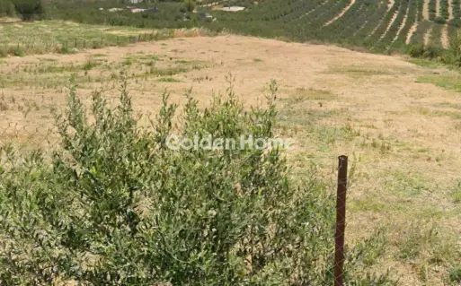 Residential 3250m<sup>2</sup> for sale photo 1