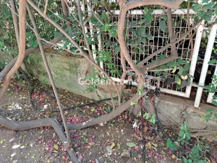 房子 220m<sup>2</sup> for rent photo 31