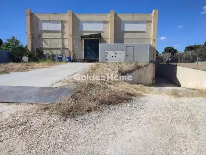 Independent Building 2000m<sup>2</sup> for rent photo 11