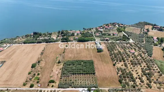Residential 15000m<sup>2</sup> for sale photo 3