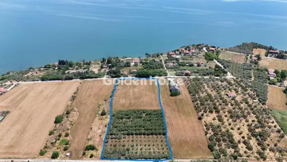 Residential 15000m<sup>2</sup> for sale photo 2