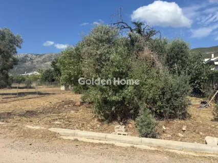 Residential 292m<sup>2</sup> for sale photo 2