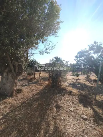 Residential 1000m<sup>2</sup> for sale photo 3