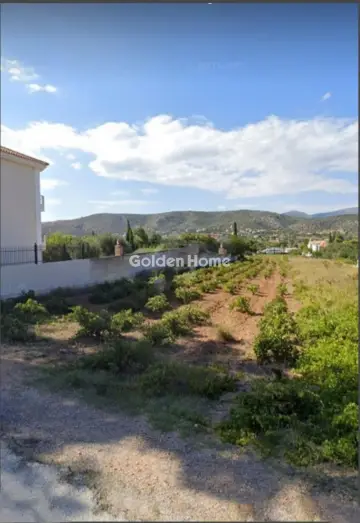 Οικιστικό 1761τ.μ. προς πώληση φωτογραφία 2