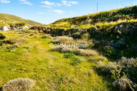 土地 5041m<sup>2</sup> for sale photo 4