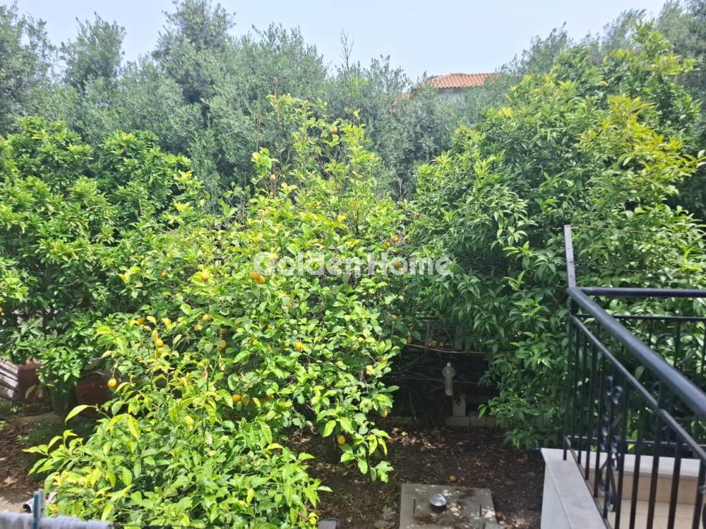 Μονοκατοικία 220τ.μ. προς πώλησηφωτογραφία 11