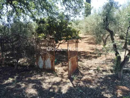 Μονοκατοικία 280τ.μ. προς πώληση φωτογραφία 5509785