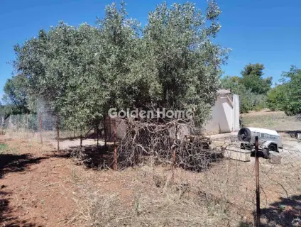Μονοκατοικία 280τ.μ. προς πώληση φωτογραφία 27