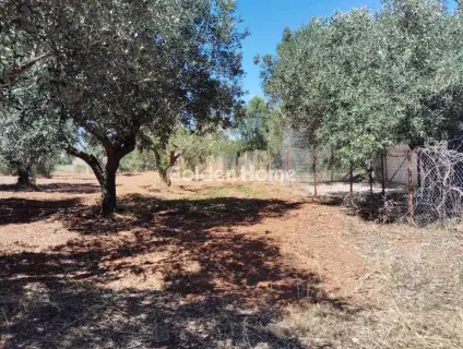 Μονοκατοικία 280τ.μ. προς πώληση φωτογραφία 5509784
