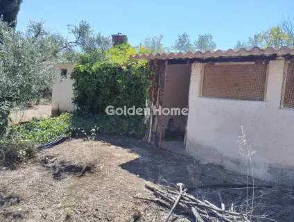 Μονοκατοικία 280τ.μ. προς πώληση φωτογραφία 5509786