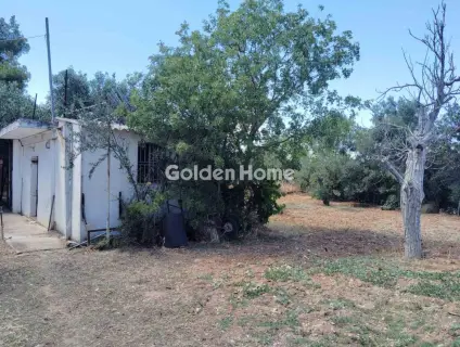 Μονοκατοικία 280τ.μ. προς πώληση φωτογραφία 28
