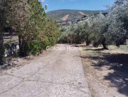 Μονοκατοικία 280τ.μ. προς πώληση φωτογραφία 5509770